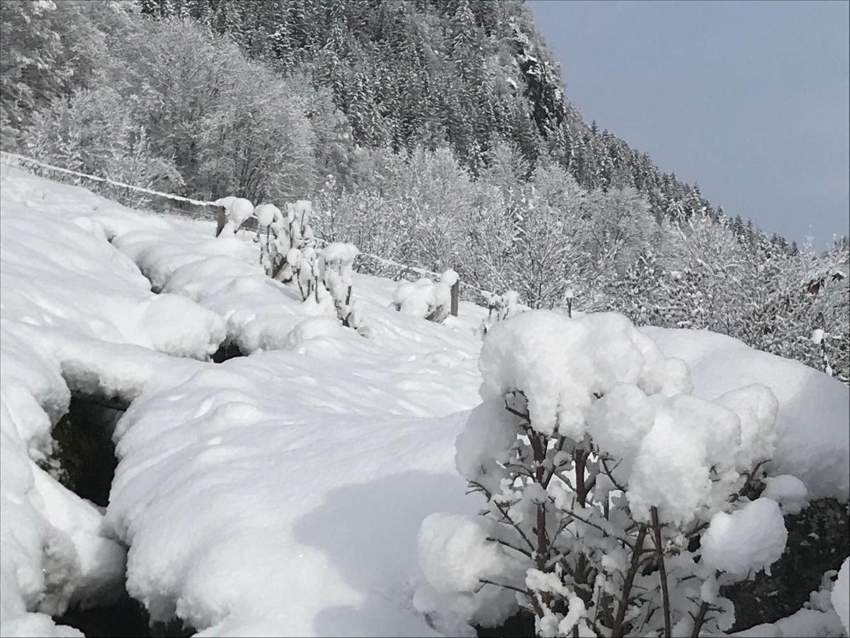 Вилла Le Blanc Nordique Le Bouchet-Mont Charvin Экстерьер фото