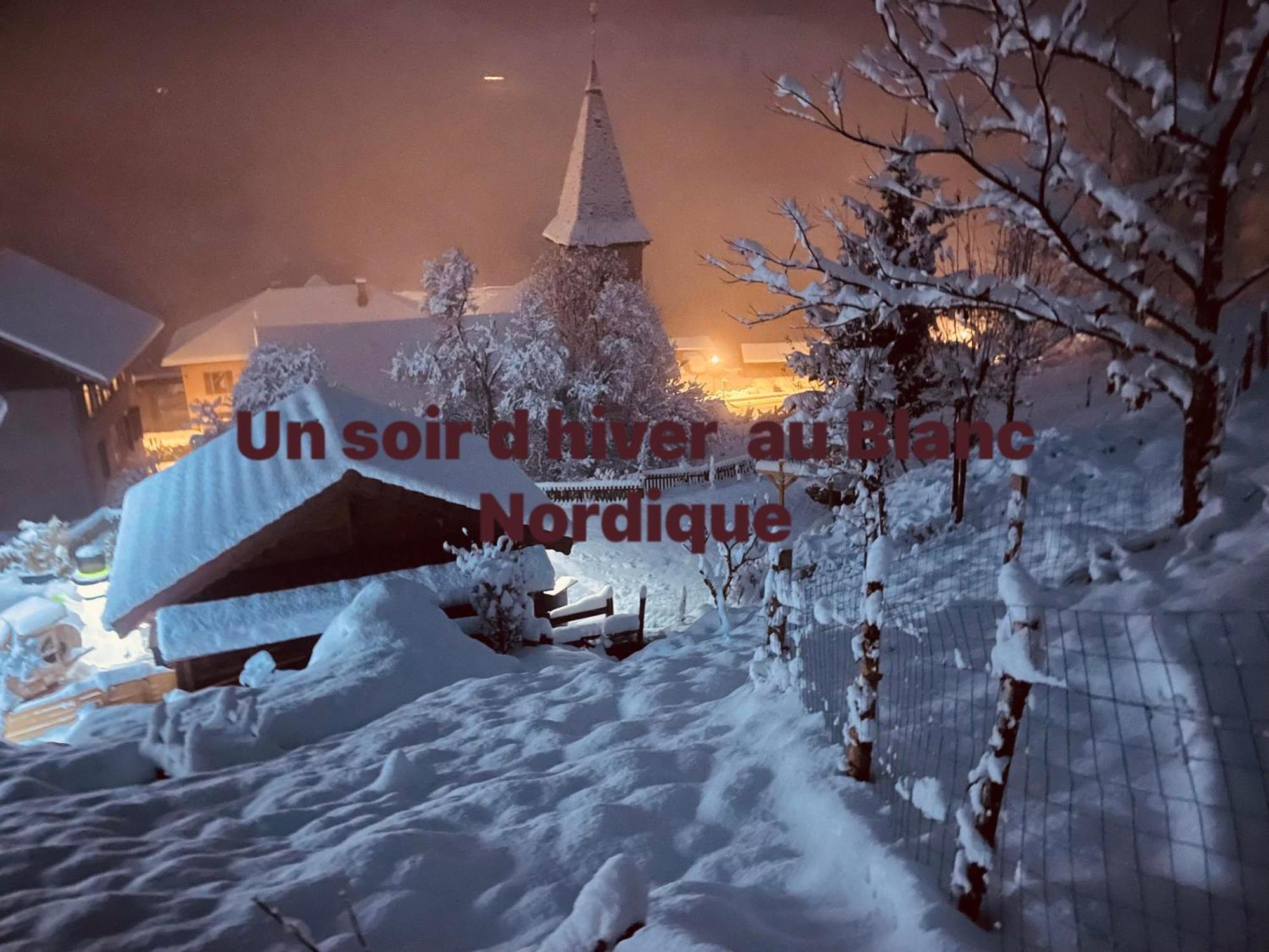 Вилла Le Blanc Nordique Le Bouchet-Mont Charvin Экстерьер фото
